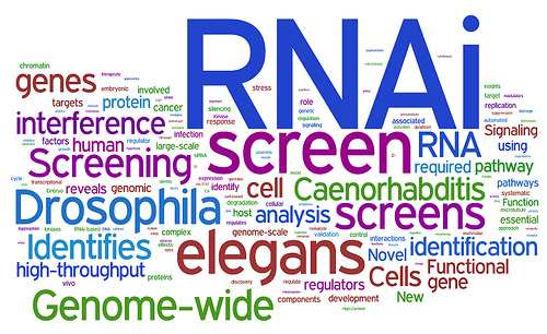 Themes in Biology – Regulation (part 2)
